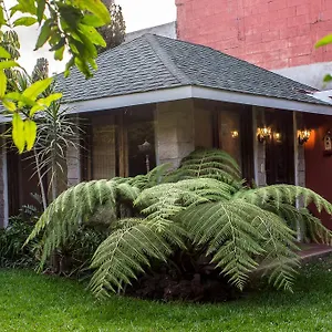 Mi Casa, Tu Casa Séjour chez l'habitant Ville de Guatemala